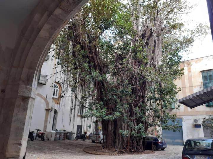 Mela Verde Villa Palermo Exteriör bild